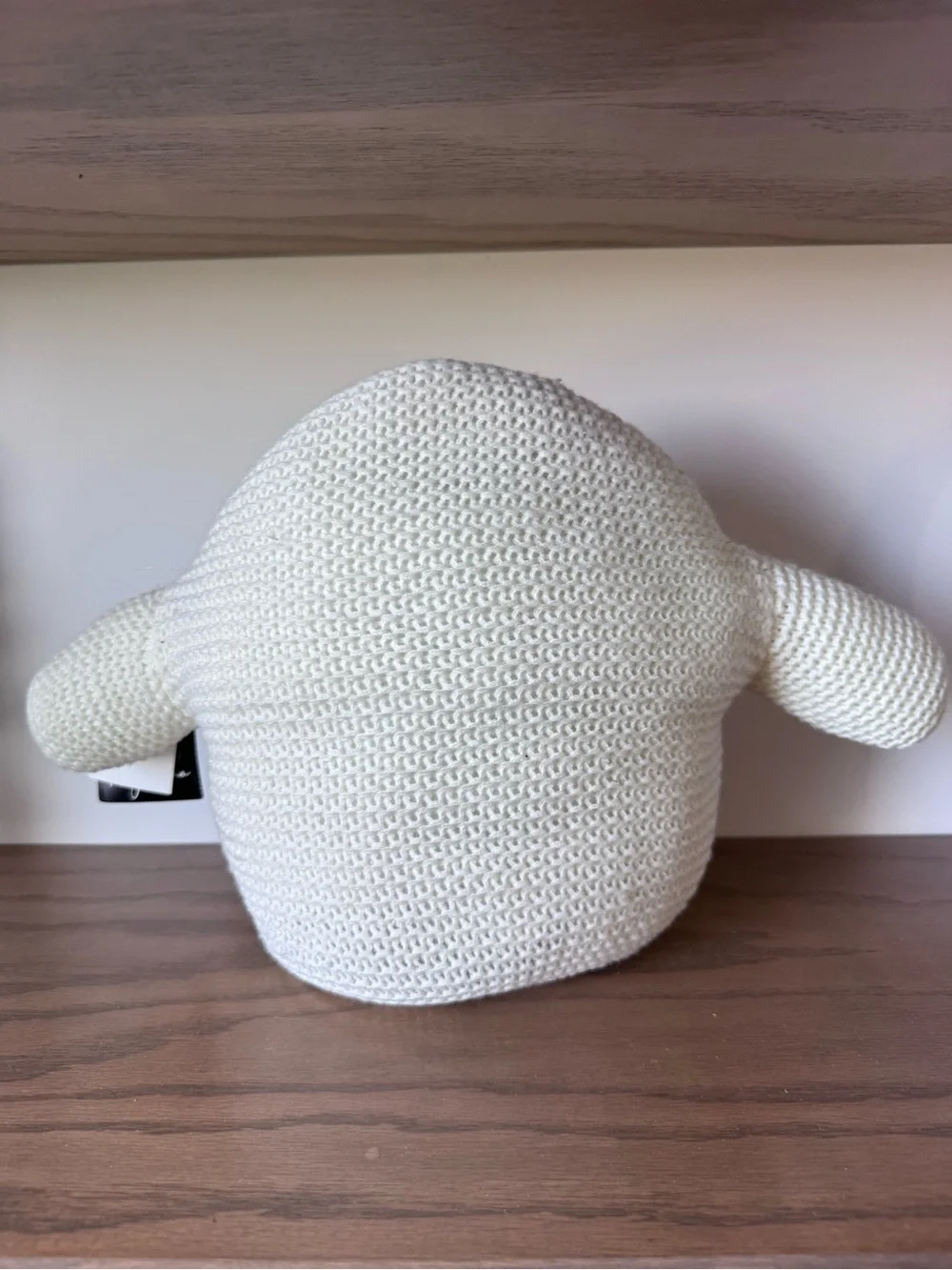 Hallow Home Waffle Knit Weighted Ghost Plush/Pillow w Spider and Web Summerween